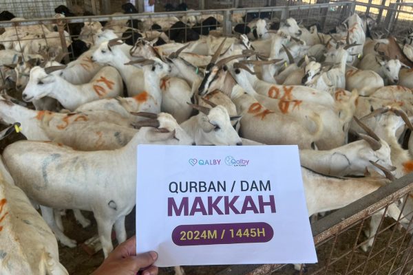 MakkahQalby2